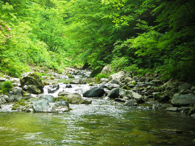 北本内川（きたほんないがわ）