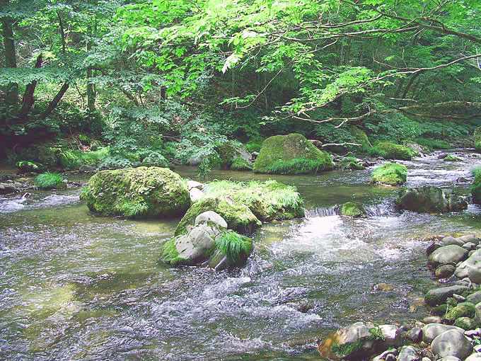 松倉川（まつくらがわ）