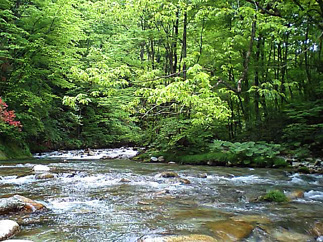 三内川（さんないがわ）