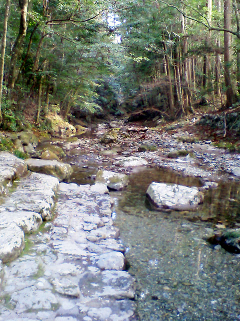 頓登川（とんどがわ）